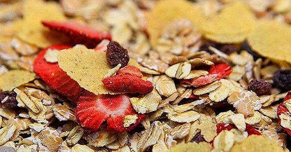 Забудь о вредных перекусах! Хрустящие овсяные хлопья — лучше любых чипсов!