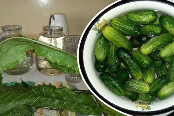 Ингредиенты рассчитаны на 2 полуторалитровых банки огурцов, одну мужу, другая до выходных постоит