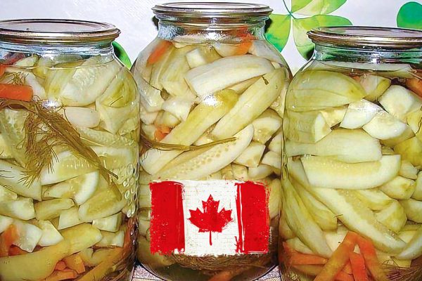 Прелесть огурцов по-канадски в том, что так можно закрывать даже огурцы-переростки