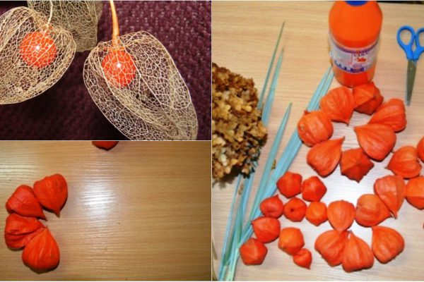 Собрала на даче полную корзину физалиса, чтобы превратить дом в сказку!