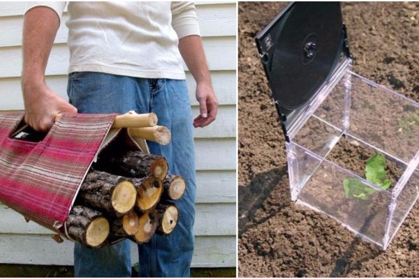 Пятнадцать идей для ленивых дачников