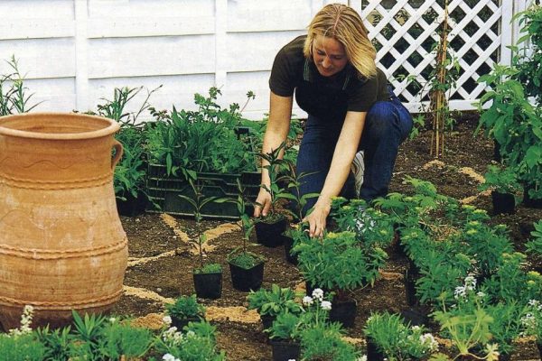 Умелые садоводы поделились завораживающими идеями весенних клумб. Красота и изысканность!