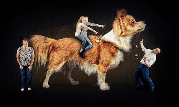 идеи для семейной фотосессии