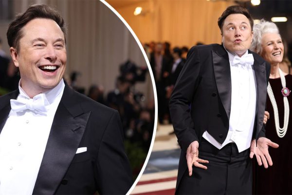 Дети получат старт, мамы — содержание: лучший многодетный папаша Илон Маск