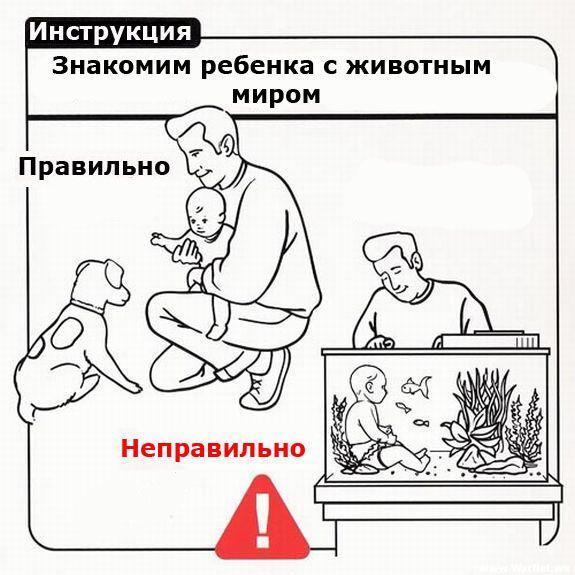инструкция для родителей