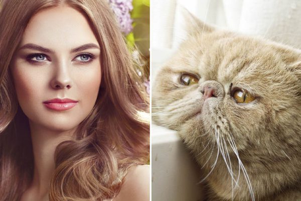 Учитель английского покраснел, когда я принес ему список слов, которых нет в учебнике