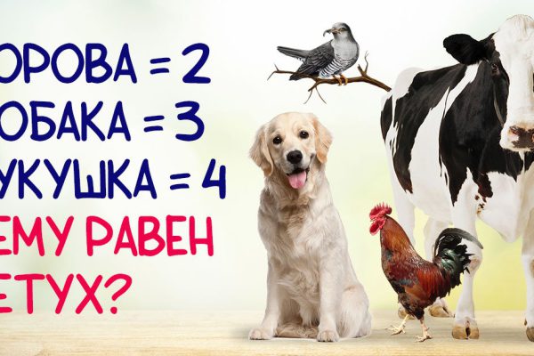 Хитрая задачка на логику, которая сломала мозг не одному умнику, попробуй разгадать