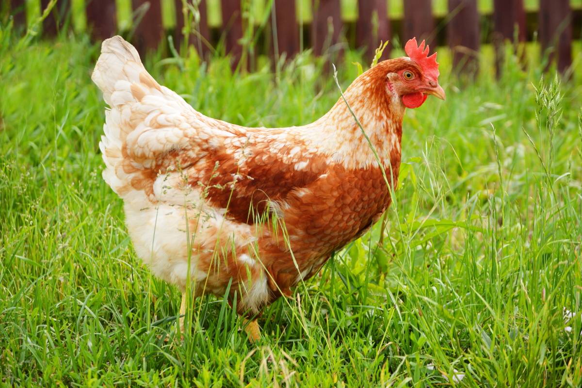 задачи по математике