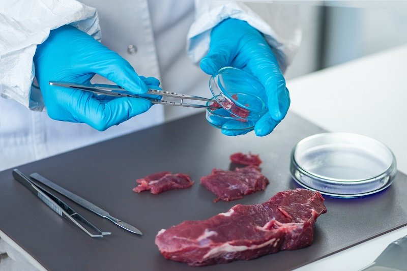 Как производят искусственное мясо Здоровье