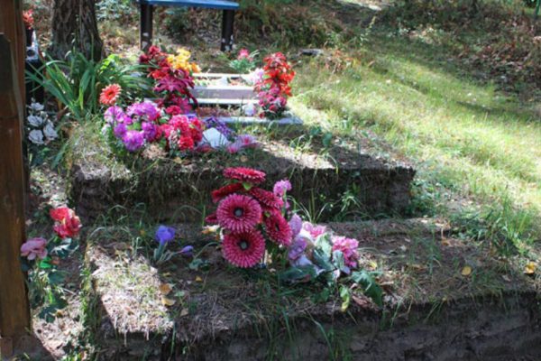 Какие цветы хорошо видны с небес