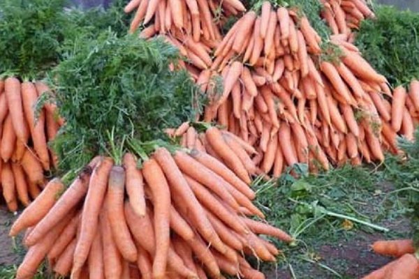 Прекращай выбрасывать использованную кофейную гущу! Есть 20 причин беречь каждую крупинку.