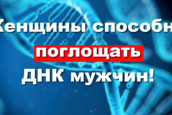 Ученые заявляют: «Женщины сохраняют в себе ДНК всех мужчин, с которыми они были».