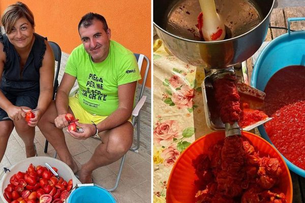 Итальянская семья из четырех человек заготавливает 500 бутылок пассаты на зиму