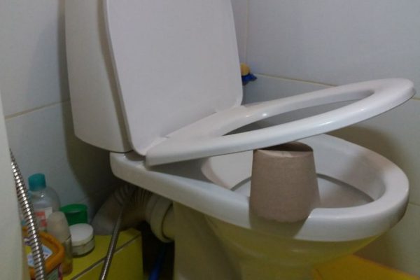 Глаза полезли на лоб от удивления, когда заметила такой рулон в соседском туалете
