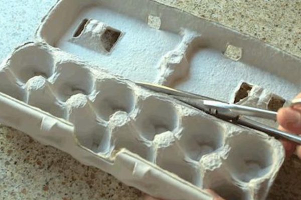 Почему картонные лотки для яиц негоже выбрасывать