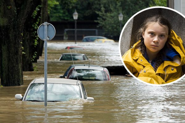 Вести о необратимом изменении климата Земли, Грета Тунберг предупреждала