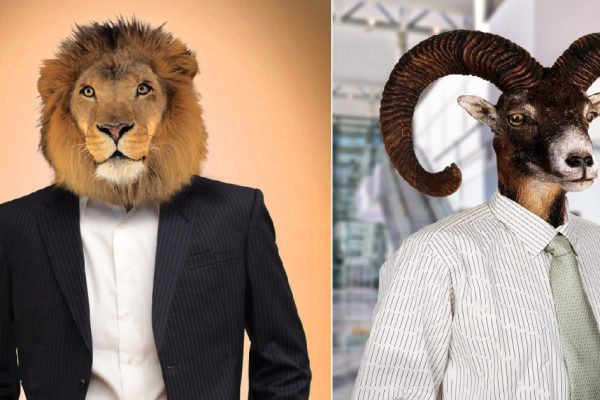 Какие знаки зодиака обладают качествами начальника