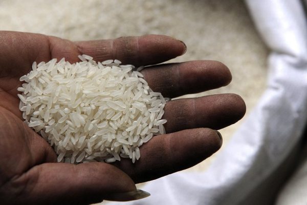 Я оставила рис в холодильнике на несколько дней… То, что я увидела, взбудоражило мое сознание!