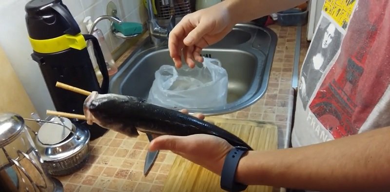 как быстро и аккуратно почистить рыбу