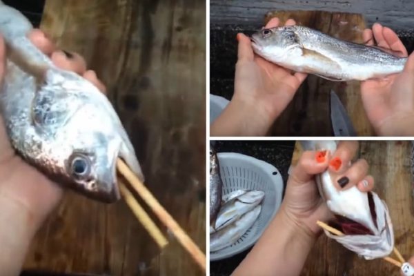 Всего 1 движение позволит выпотрошить большую рыбу! Трюк, который выручает всегда…