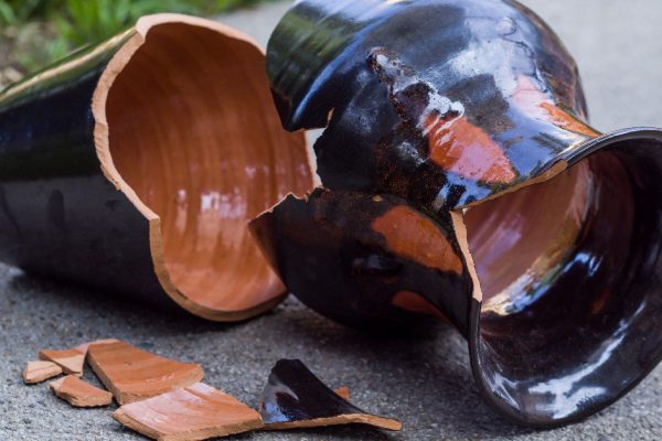 Купил жабу, что сидит на денежном мешке, и в семье начали появляться большие деньги