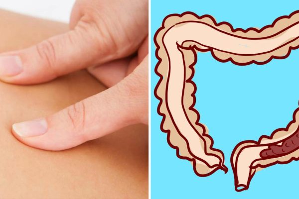 Как сходить в туалет, когда времени в обрез