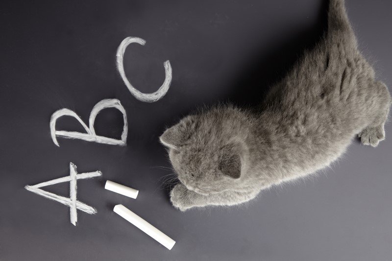 красивые английские слова на английском