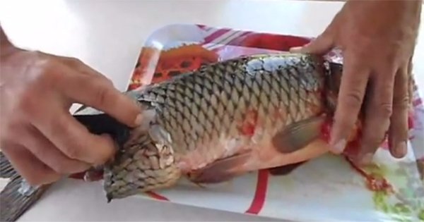 Легкий и быстрый способ очистить рыбку от чешуи. Теперь тебе не надо будет мыть всю кухню!