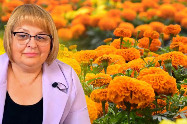 Важные знамения, увиденные Людмилой Хомутовской