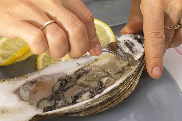 sea oyster in an open shell on a plate, nutritious healthy delicious food, delicacy and vegetarian food