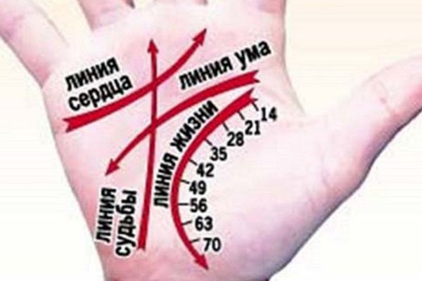 Научись гадать по руке самостоятельно! Цыганка не понадобится…