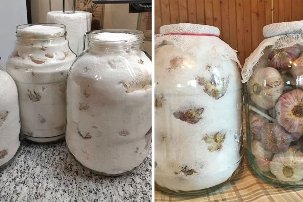 Привожу чеснок домой и аккуратно складываю в банки, только так можно долго его хранить в квартире