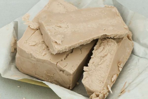 Зачем замораживать дрожжи и как увеличить срок хранения живых дрожжей