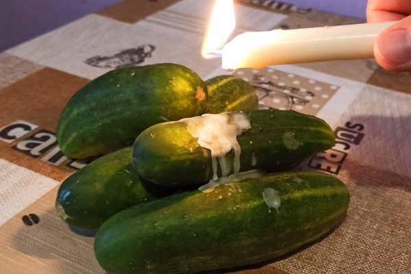 Еще моя прабабушка хранила огурцы свежими таким способом, делюсь ее методом