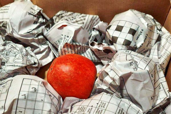 Бабушкин способ сохранить яблоки до весны, чтобы они не размокли, не потемнели и не испортились