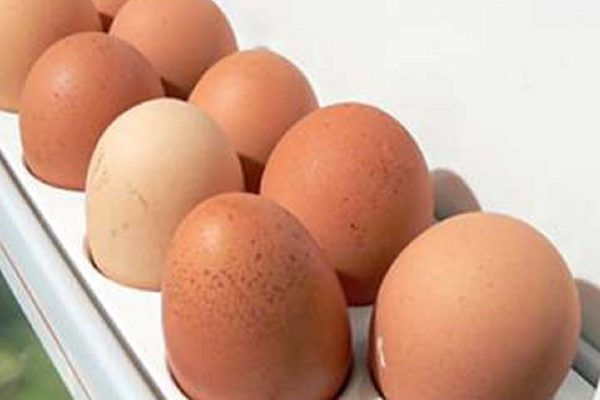 Яйца в дверце холодильника хранить нельзя: срочно уберите!