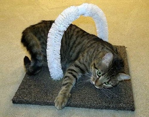 игрушка для кота