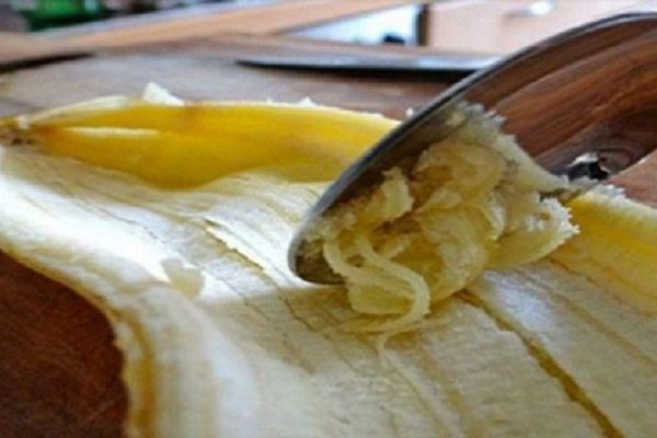 Она много лет лишала свою семью ценного источника витаминов! Прочти это и узнай, как не допустить такую ошибку.