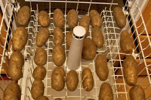 Зачем погружать картофель в посудомоечную машину