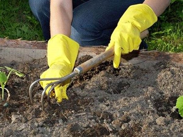 продлить жизнь перчаткам