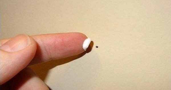 10 причин использовать зубную пасту не по назначению. Универсальное средство!