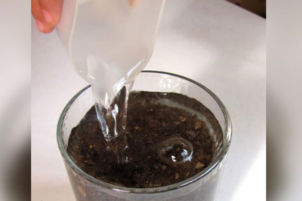 Плохой запах изо рта? Это всё паразиты внутри! Для очистки нужно…