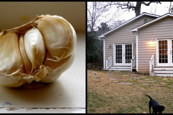 Она разложила зубчики чеснока по всему дому. Узнав причину, ты будешь делать так постоянно!
