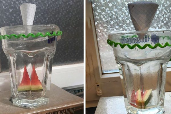 На кухне были полчища дрозофил, но муж смастерил хитрую ловушку, ни одной мошки не осталось