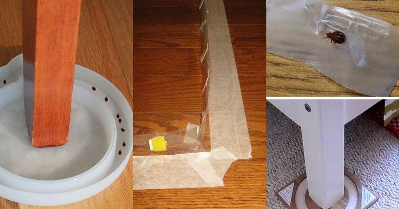 как избавится от клопов домашних