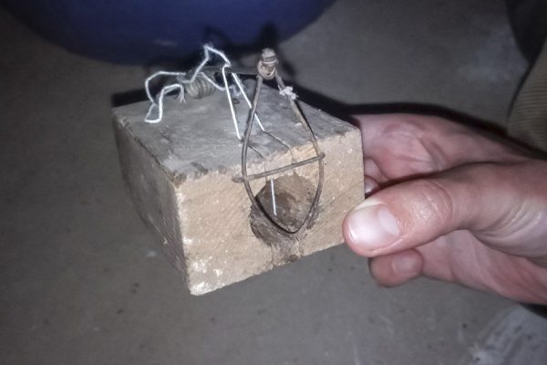 Что придумали старожилы Урала, чтобы мыши и крысы покинули селенья навечно