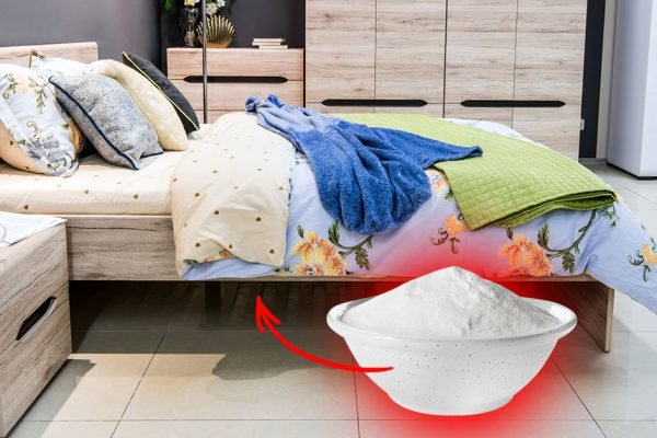 Насыпь обычную соду в миску и поставь под кровать, ты сразу заметишь разницу
