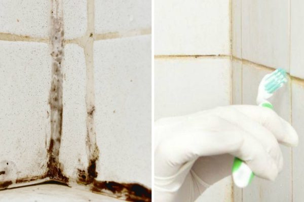 Гениальный трюк, чтобы навсегда забыть о грибке в ванной!