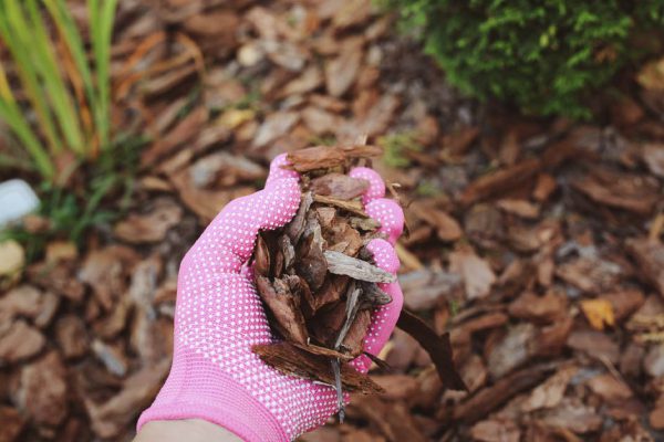 Больше не пропалываю дачные клумбы, даже дикий портулак им не страшен