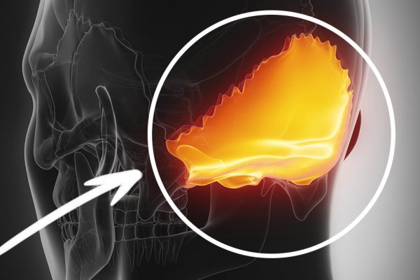 Как никогда-никогда не злиться! Секрет нейробиолога, который действует на все 100 %, и вот почему…